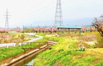 里山と水路を巡るサイクリング-4