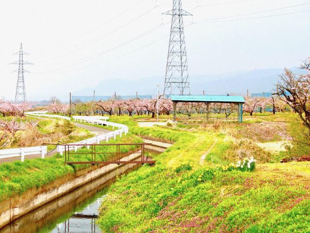 里山と水路を巡るサイクリング-4