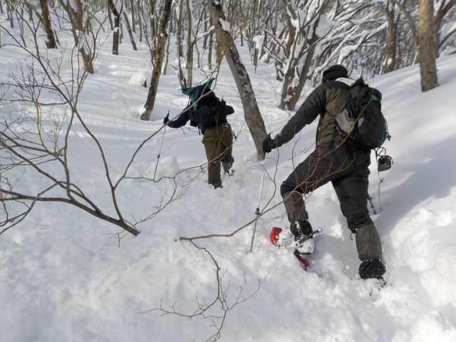 ガイドと一緒にトレッキング